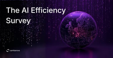 The AI Efficiency Survey