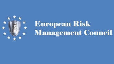 Intelligent decision-making for risk managers